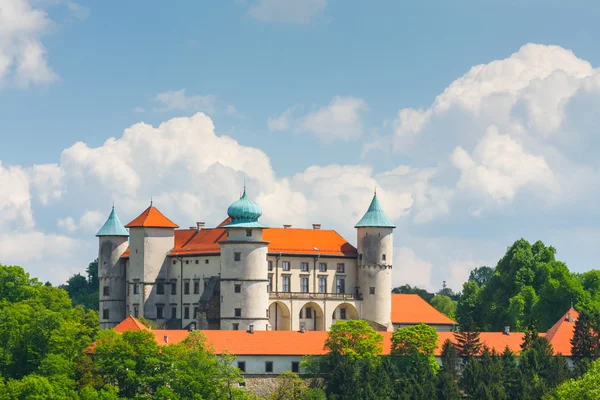 Visa nowy wisnicz Castle, Polen — Stockfoto