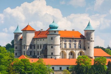 Görünüm nowy wisnicz Kalesi, Polonya 