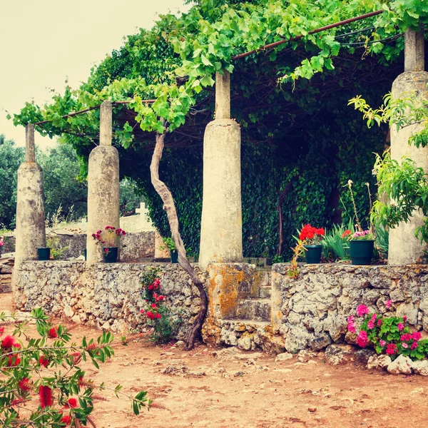 Giardino greco, aspetto vintage — Foto Stock