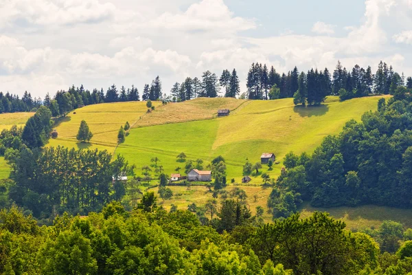 Yağmurlu dağ manzarası, Romanya
