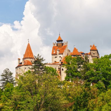 Ortaçağ da Drakula efsanesi için bilinen bir Bran Kalesi. 