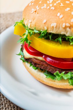 Hamburger beyaz plaka üzerinde kapat