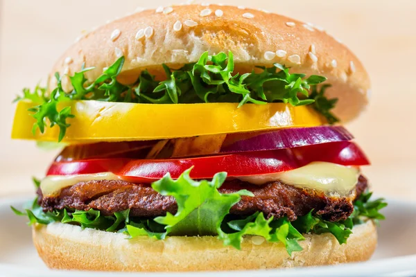 Close up of hamburger on white plate — Stock Photo, Image