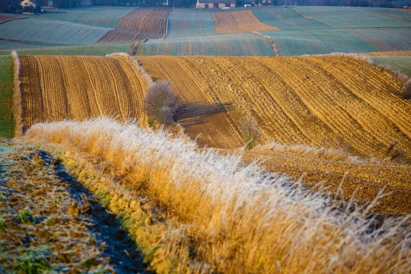 Megművelt Mezőgazdasági Területek Őszi Naplementében Színes Vidéki Foltok — Stock Fotó