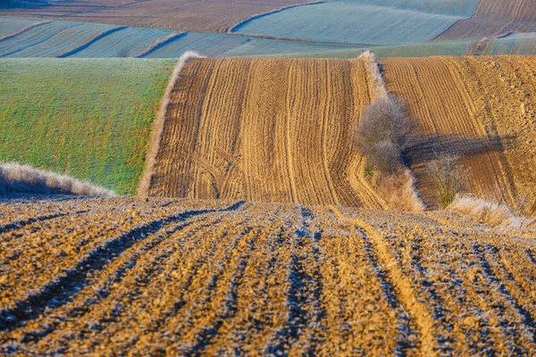 Возделывал Сельскохозяйственные Поля Осеннем Закате Красочные Загородные Лоскуты — стоковое фото