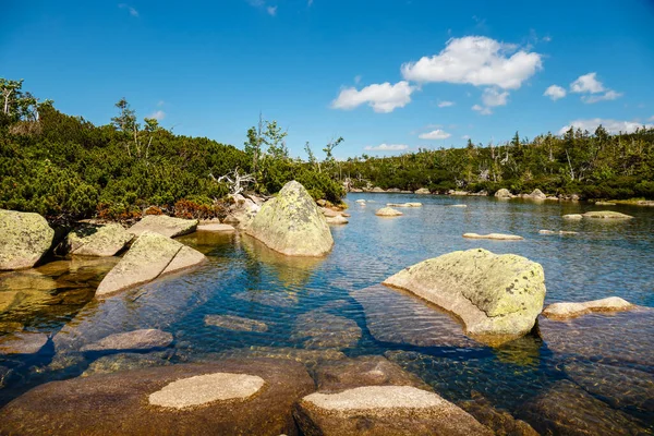 Malé Horské Jezero Krkonoších Polsko — Stock fotografie