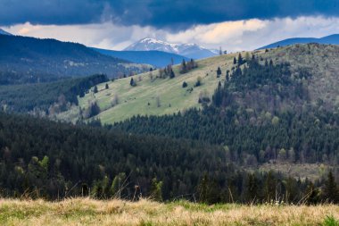 doğal dağ manzarası hoverla vurdu. Karpat, Ukrayna