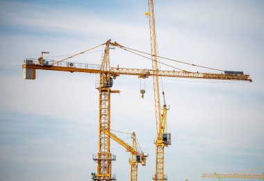 Açık mavi gökyüzünde bulutlu birçok kule vinci olan bir panorama..