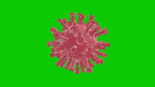 Coronavirus Covid Animație Medicală Animație Realistă Unui Virus Ecran Verde — Videoclip de stoc