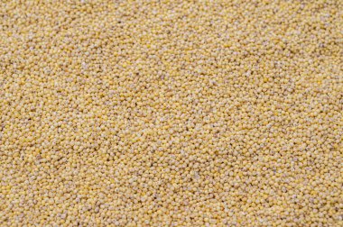 Millet top view background. Grain background.