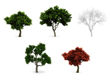 3d trees pack isolated on white. clipart