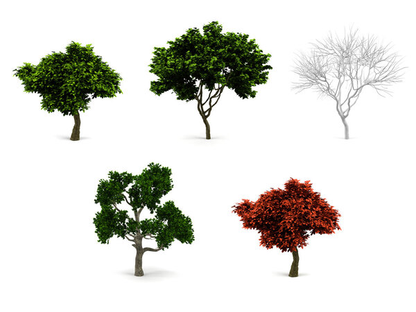 3d trees pack isolated on white.