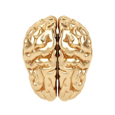 beyaz zemin üzerine altın beyin.