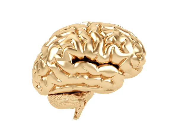 Cerebro dorado sobre fondo blanco . — Foto de Stock