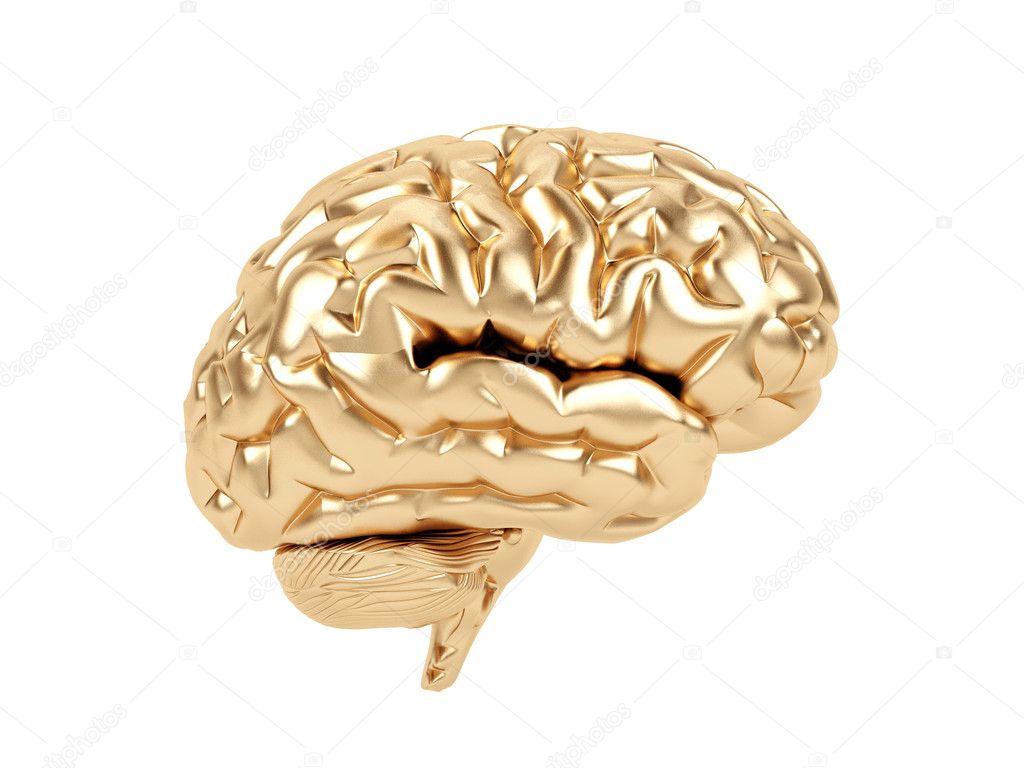 Golden brain on a white background.
