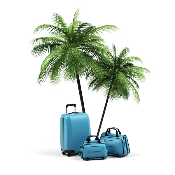 Luggage and palms on a white background. — Stock Photo, Image