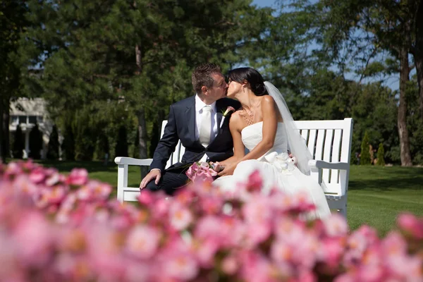 Wedding kiss — Stock Photo, Image