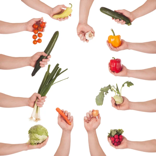 Hand vegetable set — Stock Photo, Image