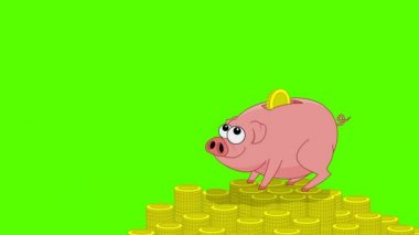 pembe pig para kutusu ve düşen paraları. yeşil ekran