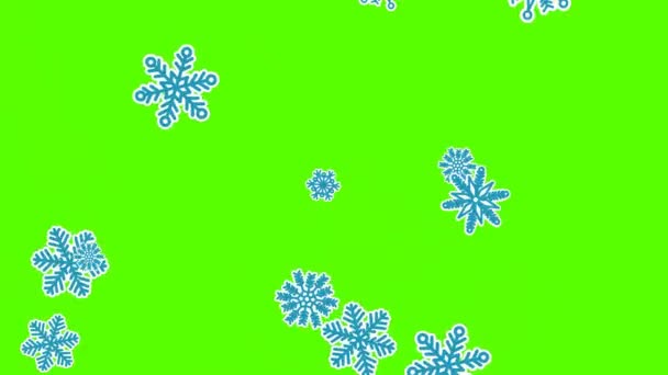 Different sort of snowflakes, effect snowfall. Green screen — Stock Video