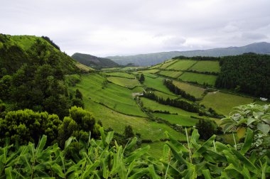 sao miguel Island renkler. Azor Adaları