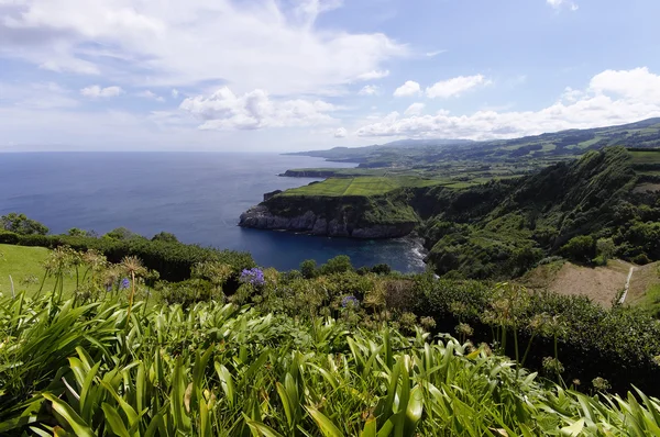 Miradouro de Santa Iria. Sao Miguel. Azores — Stock Photo, Image