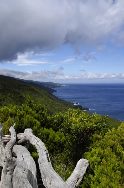 Kusten liggande ön pico, Azorerna — Stockfoto