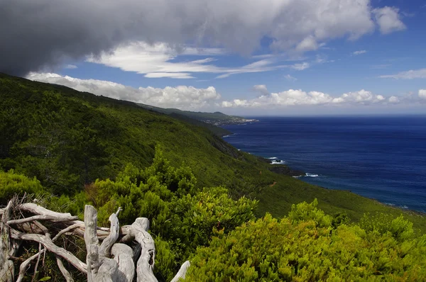 Krajina pobřeží ostrova pico, Azory — Stock fotografie