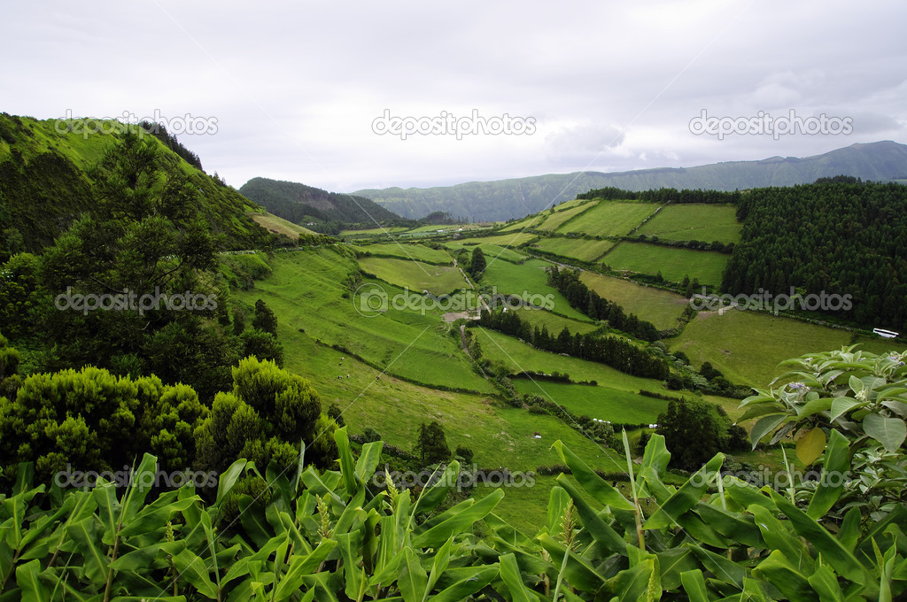 The colors of the Sao Miguel island. Azores