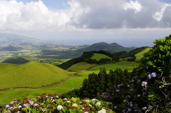 Zielone wzgórza wyspa sao miguel Azory, — Zdjęcie stockowe