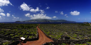 kırmızı iz arasında bağ, azores, Portekiz