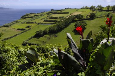 pitoresk manzaralarına faial Adası, Azor Adaları