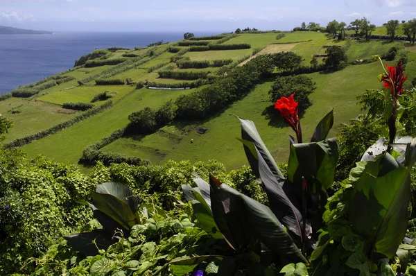 Die malerische Aussicht auf die Insel Faial, Azoren — Stockfoto