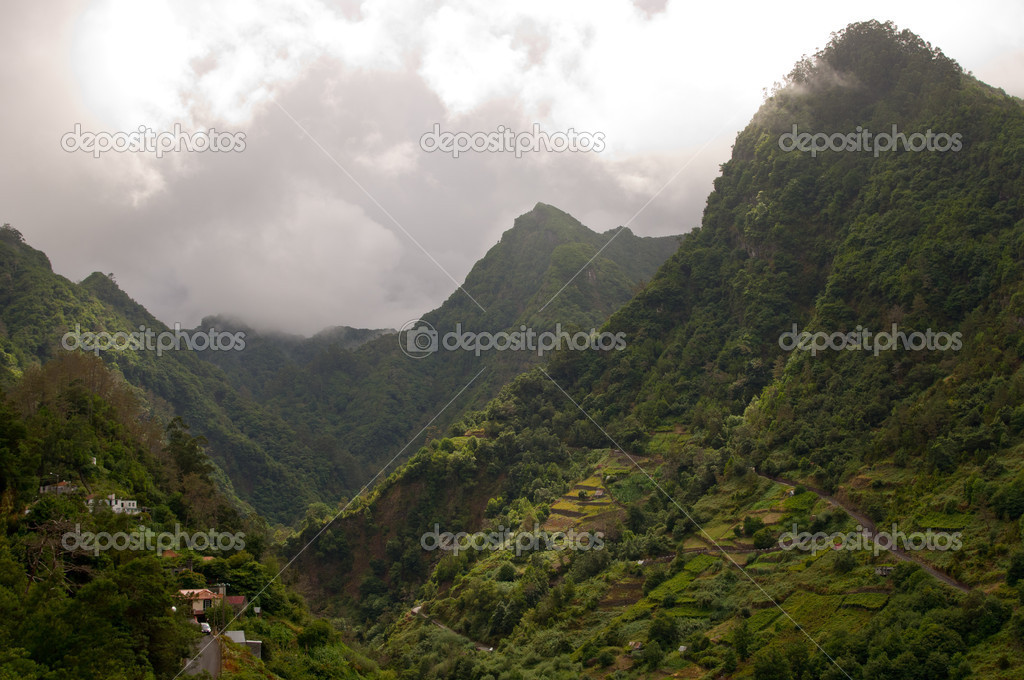 Surroundings of Ribeira da Metade, Madeira