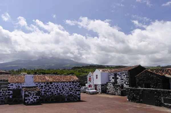 Typické malé vesnice, ostrov pico — Stock fotografie