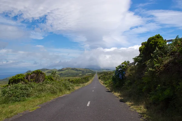 The road to infinity, Pico island Portugal — Stock Photo, Image