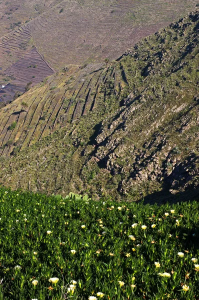 Kuzey Adası lanzarote, İspanya