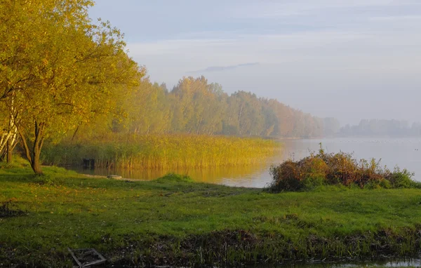 Lago di Pogoria nella regione della Slesia in Polonia — Foto Stock