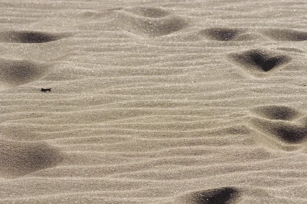 Strand Zand — Stockfoto