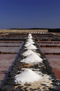 Salinas fuerteventura Adası, Kanarya Adaları, İspanya