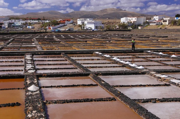 Salinas en la isla de Fuerteventura, Islas Canarias, España — Foto de Stock