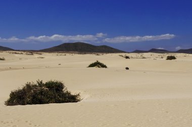 corralejo Milli Parkı, fuerteventu kum tepeleri peyzaj