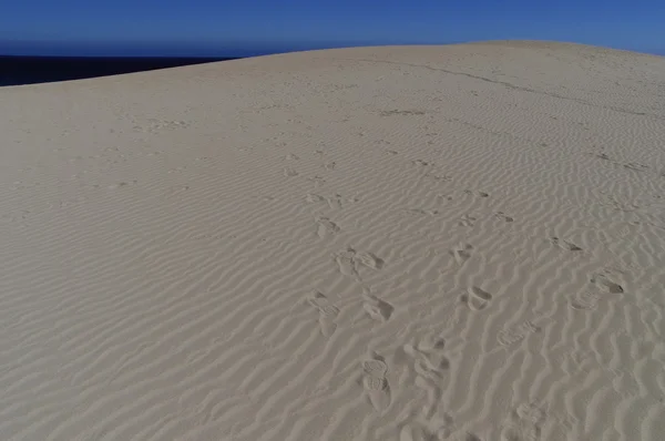 Las dunas de arena paisaje del Parque Nacional Corralejo, Fuerteventu —  Fotos de Stock