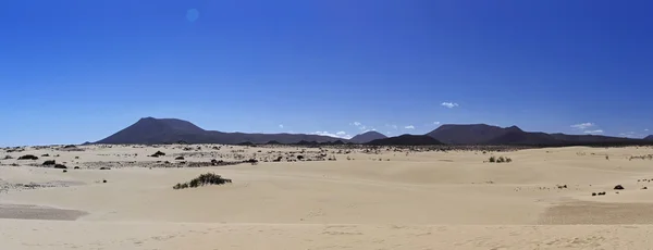 A homokdűnék táj, a corralejo nemzeti park, fuerteventura, Kanári-szigetek, Spanyolország — Stock Fotó