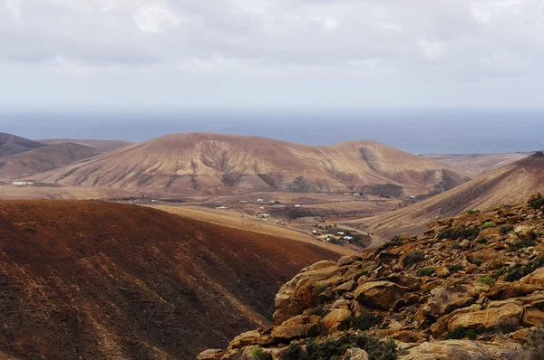 Sopečná hora ostrova fuerteventura, datlovník, Španělsko — Stock fotografie