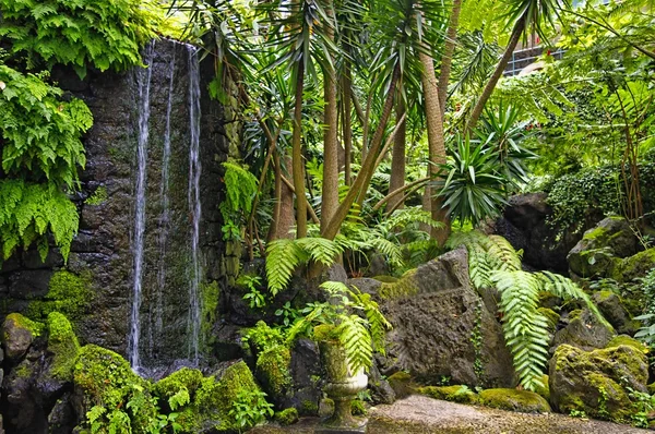 Monte colline avec parc exotique se développe au-dessus de la capitale de l'île de Madère Funchal City, Portugal — Photo