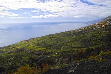 Görünüm las Indias, la palma Adası, Kanarya, İspanya