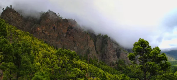 라 팔 마 섬, 칼데라 taburiente, 카나리아, 스페인La palma Adası, caldera taburiente, Kanarya, İspanya — 스톡 사진