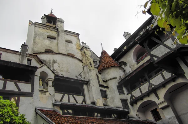 Burg Kleie - Burg Draculas — Stockfoto