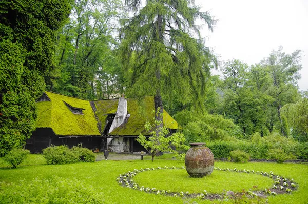 çimenli bir çatı altında bran Şatosu, brasov district, Romanya güzel yazlık